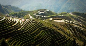 Rizières en terrasse Yunnan Chine