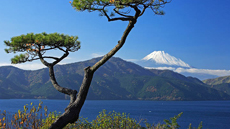 Vue sur le Mont Fuji depuis le lac Ashi à Hakone