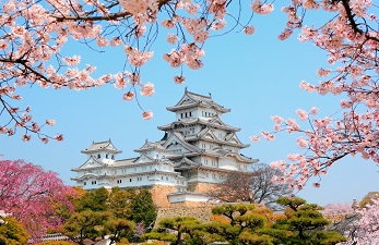 Cerisiers du château d’Himeji