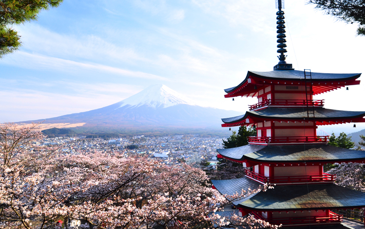 Kawaguchiko-cerisiers-pagode-Fuji-upload