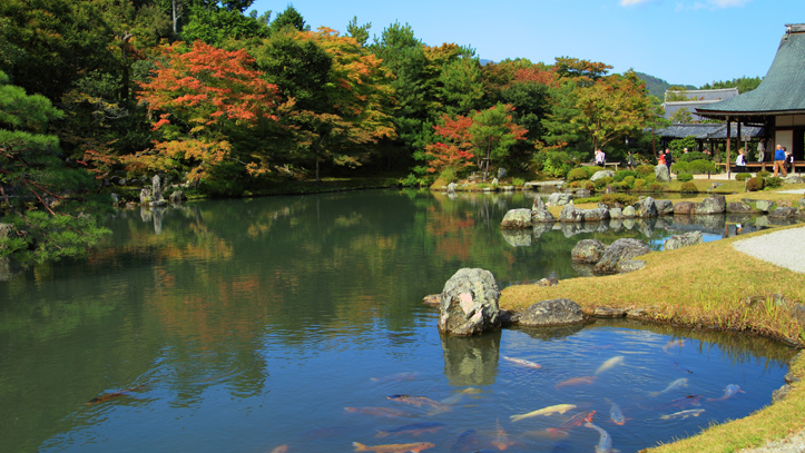 Kyoto-Jardin-temple-Tenryuji-Arashiyama-traditionnel