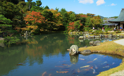  Kyoto-Bambouseraie-Arashiyama 