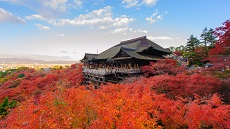 Kyoto-Momiji-Temple-Kiyomizudera