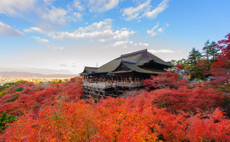 Kyoto-momiji-temple