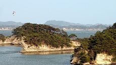 Ile de la baie de Matsushima
