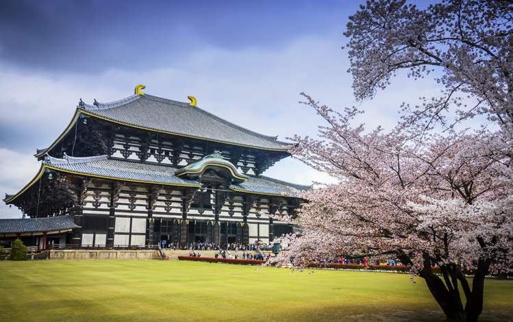Nara-temple-Todaji-cerisiers-upload