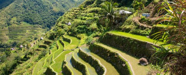 Philippine-rizieres-carroussel