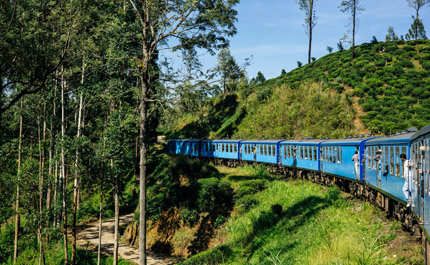 Sri-lanka-voyage-train
