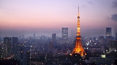 Vue sur la Tokyo Tower