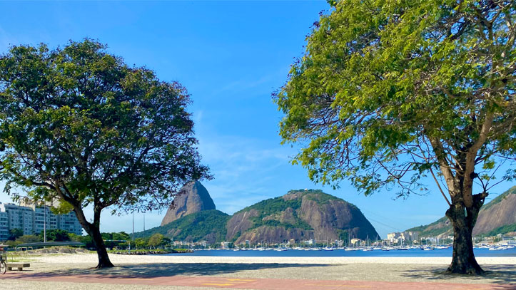 arbre-pain-de-sucre-rio-de-janeiro