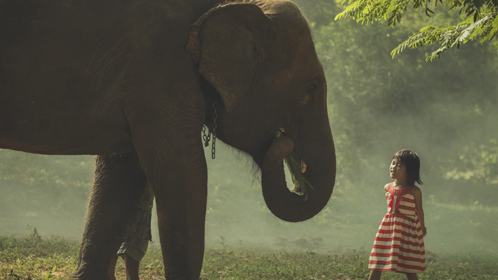 Cambodge elephant filles