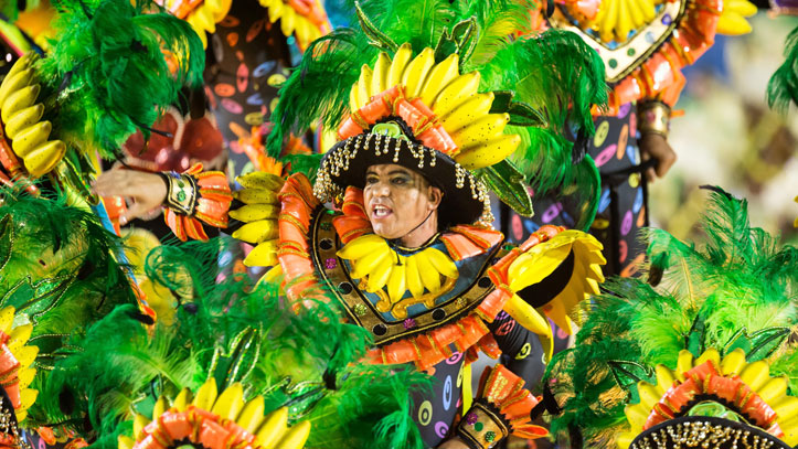 Envie de vivre l'ambiance unique du carnaval de Rio de Janeiro