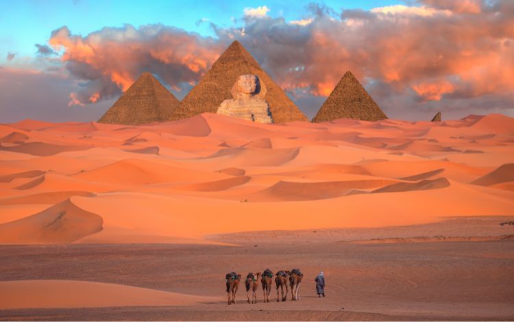 caravane-chameaux-Gizeh-le-caire