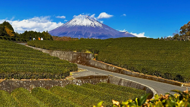 Matsumoto-chateau-alpes