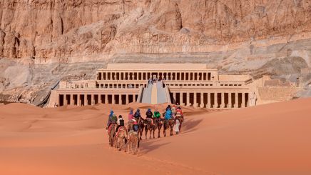 Egypte dromadaire