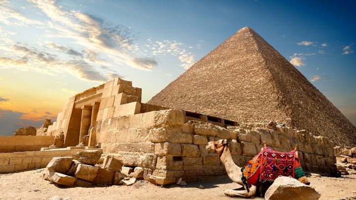 egypte-pyramide-dromadaire