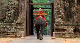 Entrée d’un éléphant par une des portes d’Angkor Thom, cité royale de l’Empire Khmer