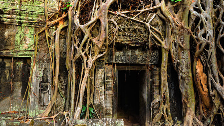 entree temple ta phrom couvert racines cambodge