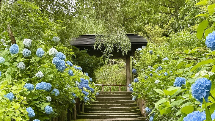 escaliers-fleurs-temple-japon