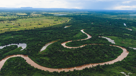fleuve-amazonie-vue-de-haut-plaines