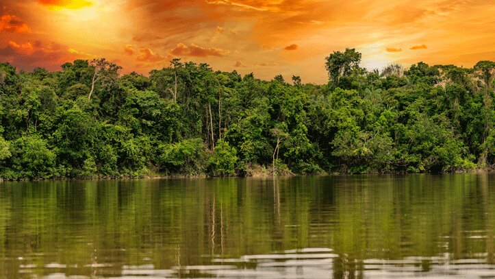 foret-amazonienne-coucher-soleil-bresil-liste