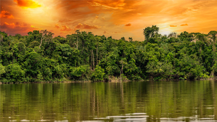 foret-amazonienne-coucher-soleil-bresils