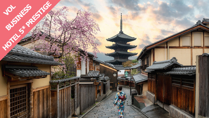 geisha-tokyo-pagode-cerisiers1.jpg