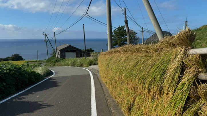 ile-sado-japon-route-nature