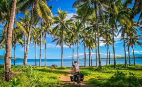Bali Vélo Palmiers Plage