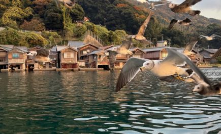 Ine-japon-mer