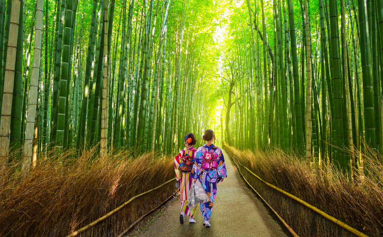 kyoto-bambous-geishas