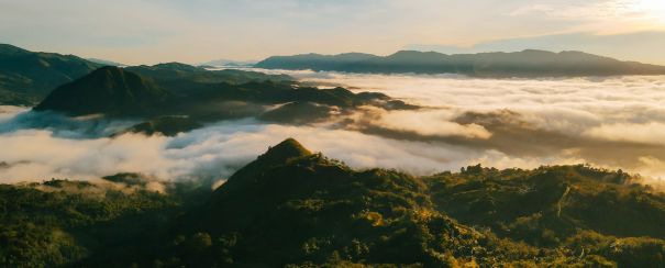 montagne-philippines-nature-sauvage