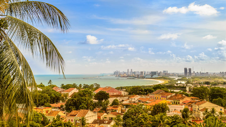 olinda-palmier-plage-jour