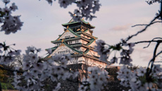 Momiji du temple Kiyomizudera à Kyoto