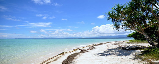 Plage de sable blanc aux Philippines