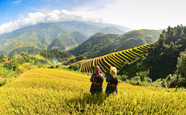 riziere-panorama-nord-vietnam