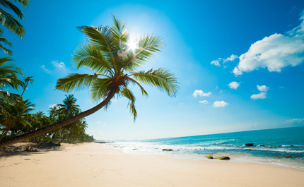 sri-lanka-plage-tropical-palmiers 