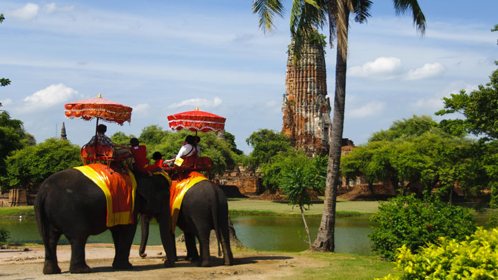 temples ayutthaya elephants