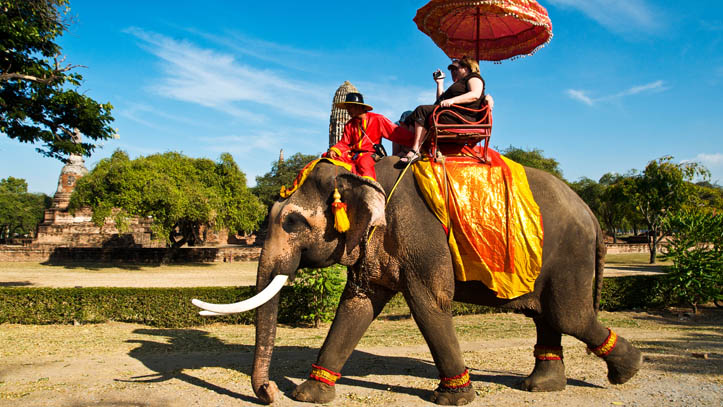 Ayutthaya, balade d’éléphants