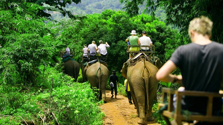 Balade sur dos d’éléphants en forêt thailandaise