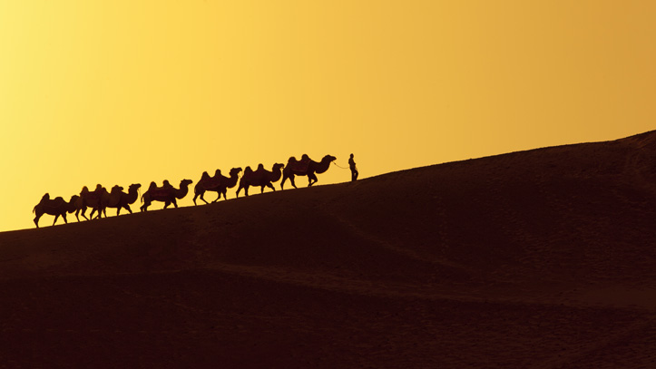 Traversée la route de la soie en chameau