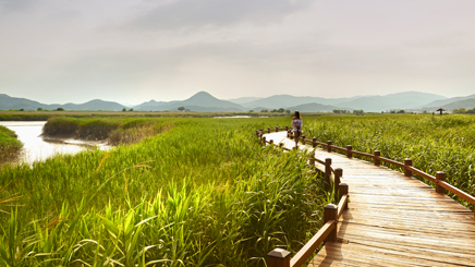 Suncheonman-bay-wetland-reserves