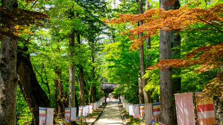 Nara-Daibutsu-temple-Todaiji