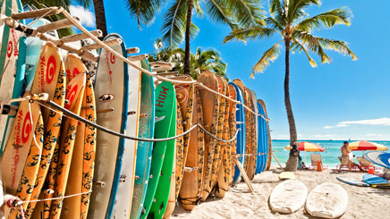 USA Hawaii Honolulu plage surf palmier 
