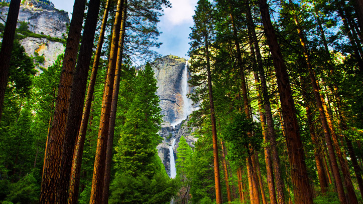  usa-californie-parc-yosemite-sequoias 