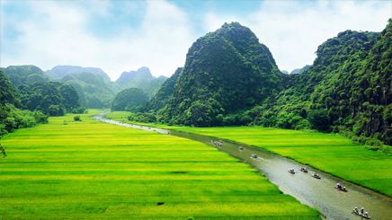  Vietnam Ninh Binh rice field 
